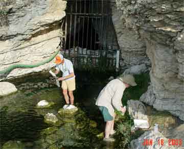 Brian Lang of the New Mexico Department of Game and Fish (left) and Dr. David Berg of the University of Miami-Ohio (right) collect three candidate species: Phantom springsnail, Phantom Cave snail, and diminutive amphipod, from Phantom Lake Spring in west Texas.