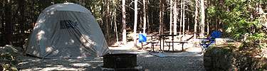 Wooded campsite includes tent, fire grate, and picnic table.