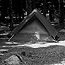 Black and white image of a tent in spruce trees.