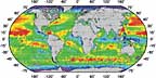 A global map of sea surface temperatures