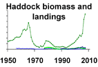 Haddock biomass and landings **click to enlarge**