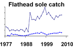 Flathead sole catch **click to enlarge**