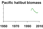 Pacific halibut biomass **click to enlarge**