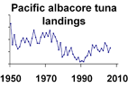Pacific albacore tuna landings **click to enlarge**