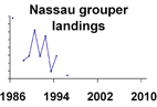 Nassau grouper landings **click to enlarge**