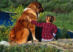 girl with St. Bernard dog