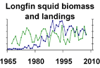 Longfin squid biomass and landings **click to enlarge**