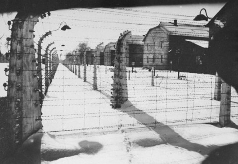 View of a section of the barbed-wire fence and barracks at Auschwitz at the time of the liberation of the camp. Auschwitz, Poland, January 1945.