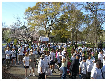 Picture of the TB walk