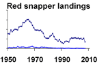 Red snapper landings **click to enlarge**