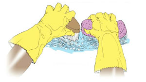 Gloved hands using a sponge and scrub brush