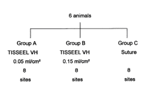 flowchart showing which group of animals received autologous split skin grafts using fibrin sealant or sutures