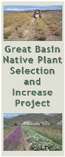 Great Basin Native Plant Selection and Increase Project brochure