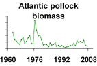 Atlantic pollock biomass **click to enlarge**