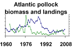 Atlantic pollock biomass and landings **click to enlarge**
