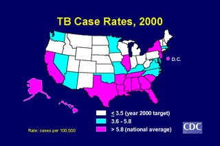 Slide 4: TB Case Rates, 2000. Click here for larger image