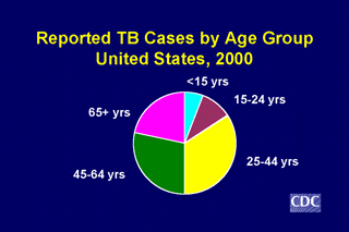 Slide 5: Reported TB Cases by Age Group, United States, 2000. Click here for larger image
