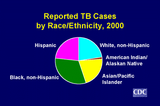 Slide 7: Reported TB Cases by Race/Ethnicity, 2000. Click here for larger image