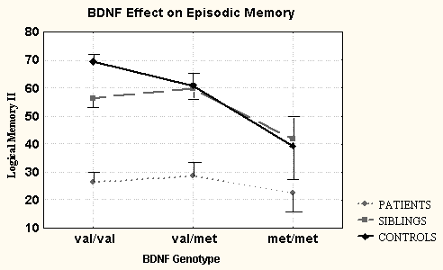 BDNF Effect on Episodic Memory