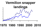 Vermilion snapper landings **click to enlarge**