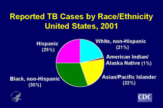 Slide 9: Reported TB Cases by Race/Ethnicity, United States, 2001. Click here for larger image