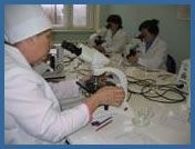 Tuberculosis Laboratory Improvement and Electronic Surveillance
