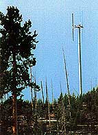 Cell tower, Old Faithful Historic District, Yellowstone National Park, Wyoming