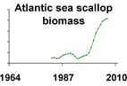 Atlantic sea scallop biomass **click to enlarge**