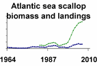 Atlantic sea scallop biomass and landings **click to enlarge**