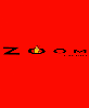Zoom Book Cover