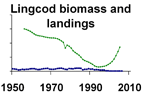 Lingcod biomass and landings **click to enlarge**