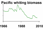 Pacific whiting biomass **click to enlarge**