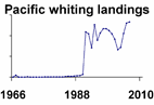 Pacific whiting landings **click to enlarge**