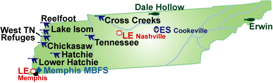 Tennessee Map