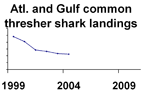Atlantic and Gulf common thresher shark landings **click to enlarge**
