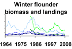 Winter flounder biomass and landings **click to enlarge**