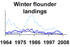 Winter flounder landings **click to enlarge**