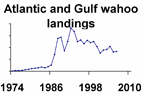 Atlantic and Gulf wahoo landings **click to enlarge**