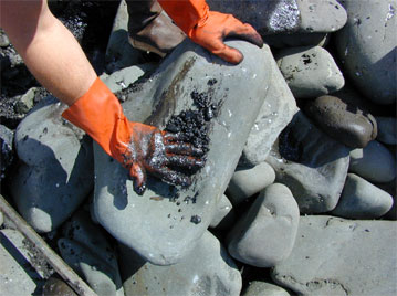 A deposit of Exxon Valdez oil that has washed up on shore