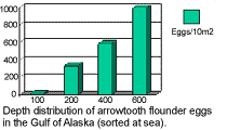 Depth distribution of arrowtooth flounder eggs
in the Gulf of Alaska