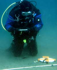 Photo of SCUBA diver conducting a habitat field experiment