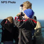 Whale watchers at the Point Reyes Lighthouse