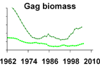 Gag grouper biomass **click to enlarge**