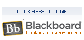 Log in to the Blackboard Academic Suite