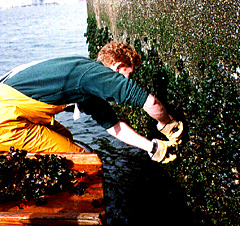 San Diego Bay Sampling