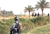 U.S. and Iraqi soldiers search fields and canals in southern Muehla during Operation Dodge City II, Aug. 4, 2008. 