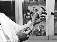 El Dr. Robert Kissling creó la prueba de anticuerpos fluorescentes para la rabia.