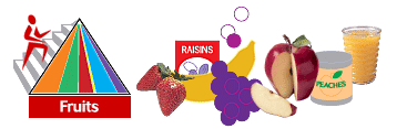 Fruits food group banner