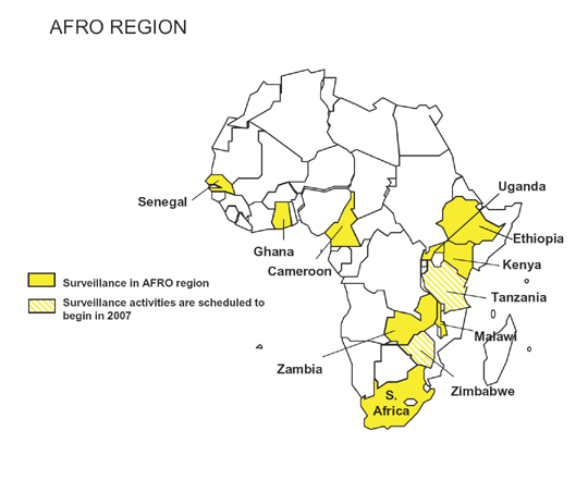 Map showing countries performing surveillance in the 
AFRO region. The countries are: Cameroon, Ghana, Kenya, South Africa, Uganda, and Zambia