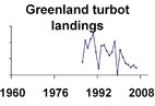Greenland turbot landings **click to enlarge**